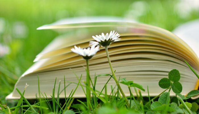 Welttag des Buches